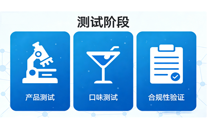 测试阶段